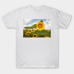 Sunflower and Bees T-Shirt